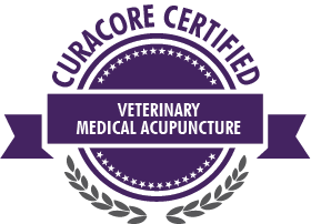 Veterinary Acupuncture Certification